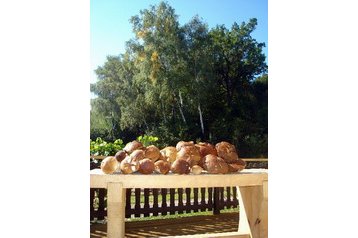 Poljska Privát Gorlice, Eksterijer